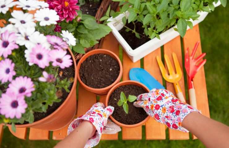 Creare un giardino