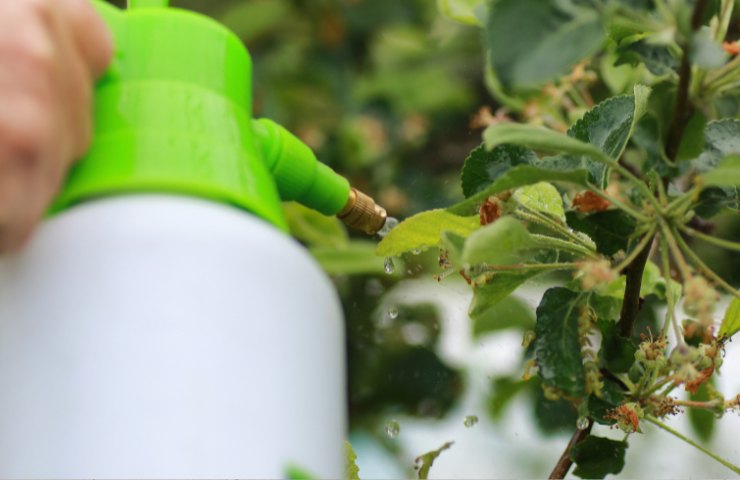 Un dosatore di liquidi per giardinaggio