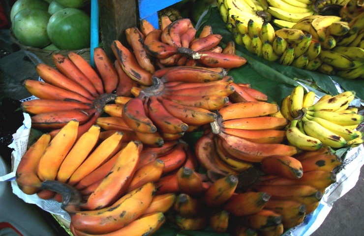 La varietà di banana rossa