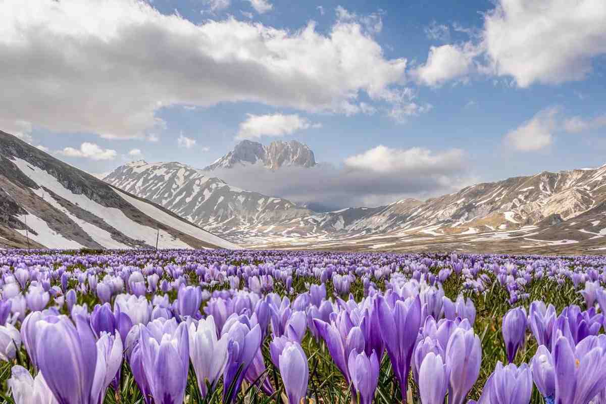 fioriture più belle d'Italia