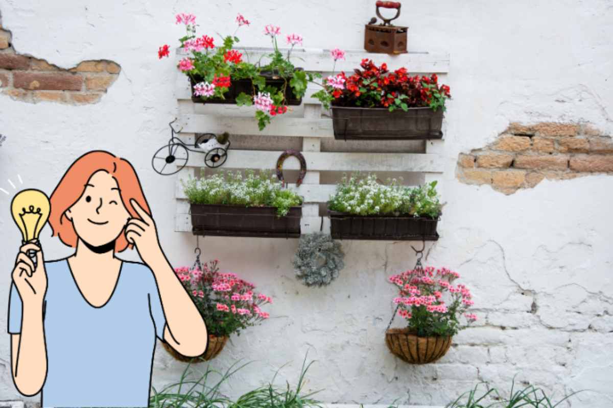 come creare un giardino verticale con poco