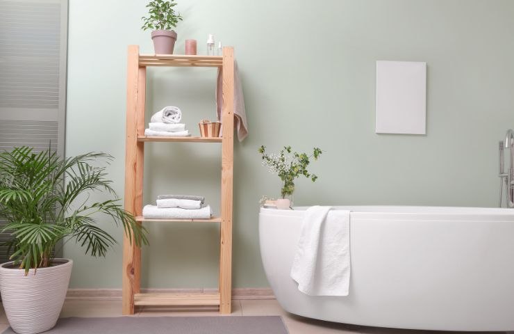 bagno piante muffa