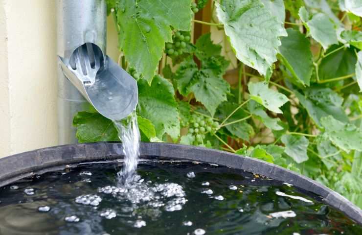 acqua piovana utilizzi