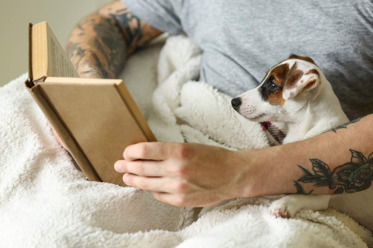 Piccolo cane accanto a uomo che legge un libro
