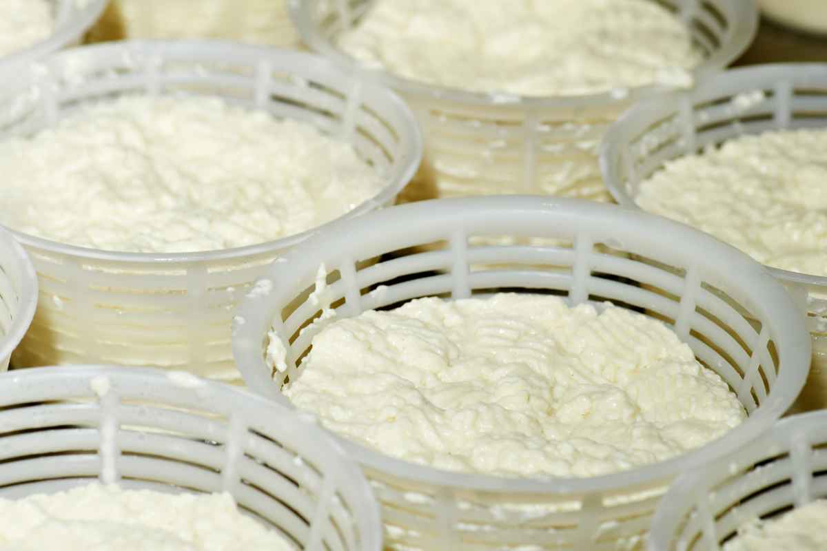 Contenitori ricotta