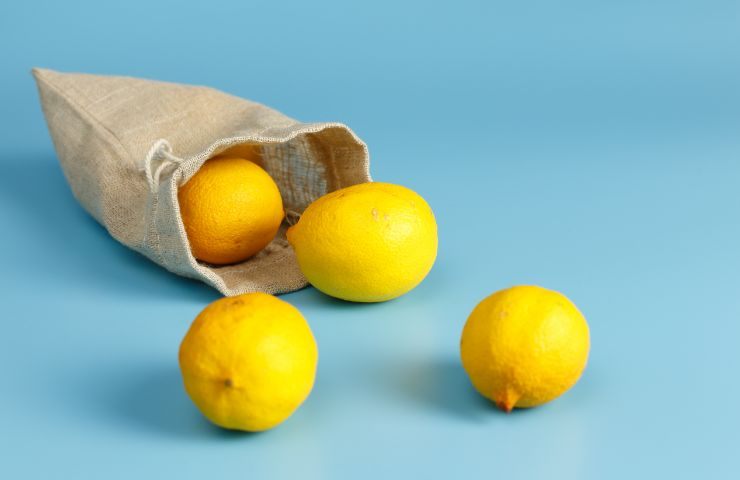 Limoni nel sacchetto 