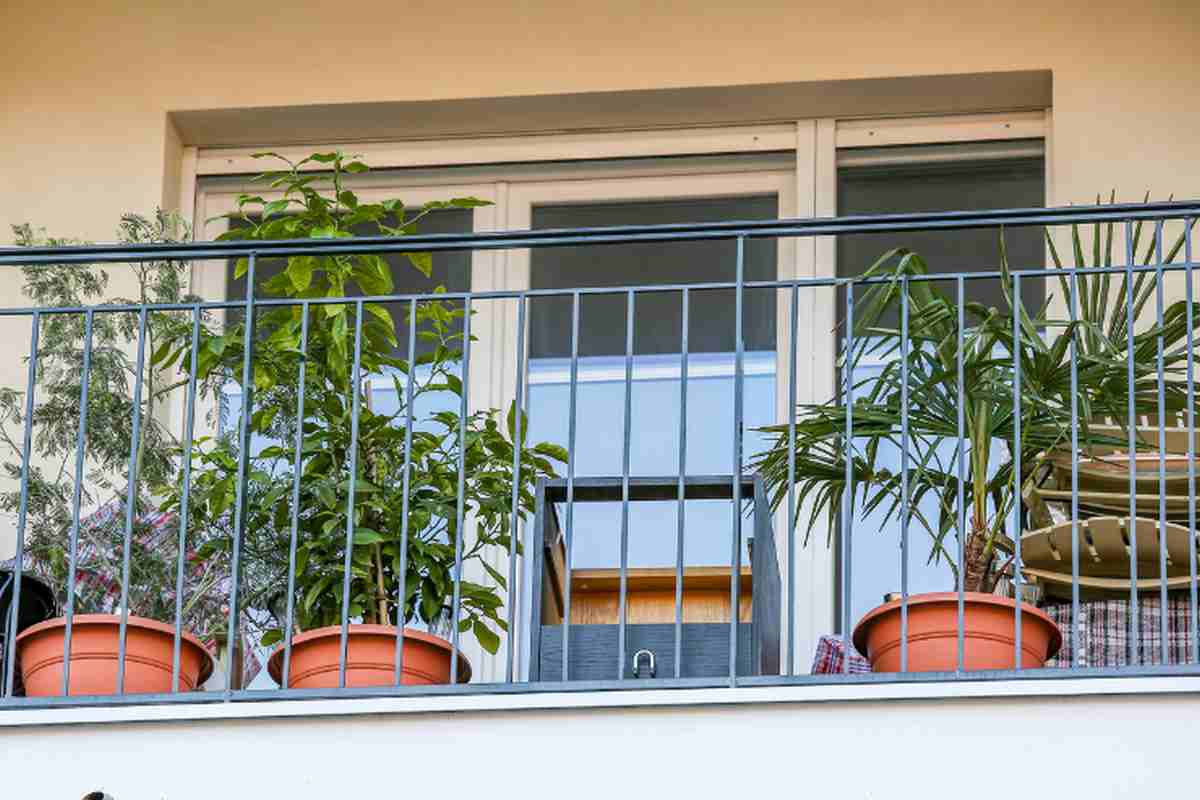 piante da balcone