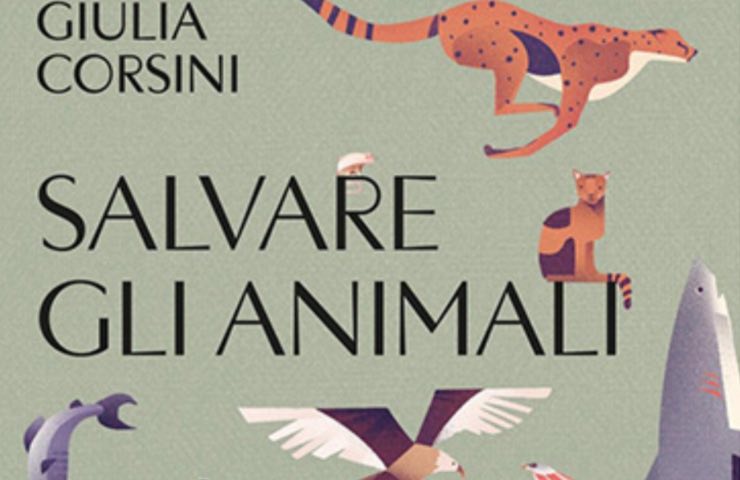 Il libro di Giulia Corsini candidato al Premio Vero 