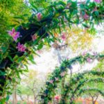 Giardino adornato da un grande arco floreale