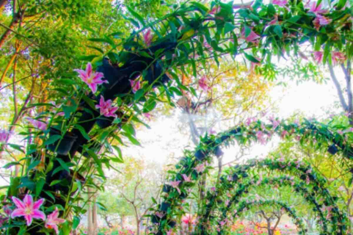 Giardino adornato da un grande arco floreale
