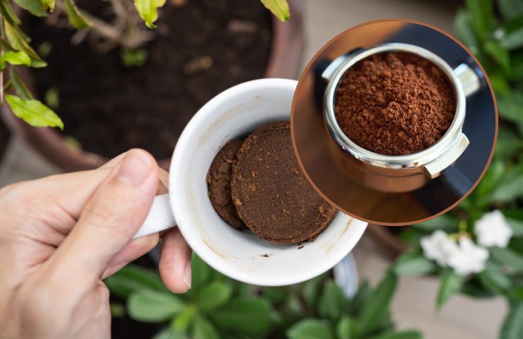 Fondi di caffè da riutilizzare in casa