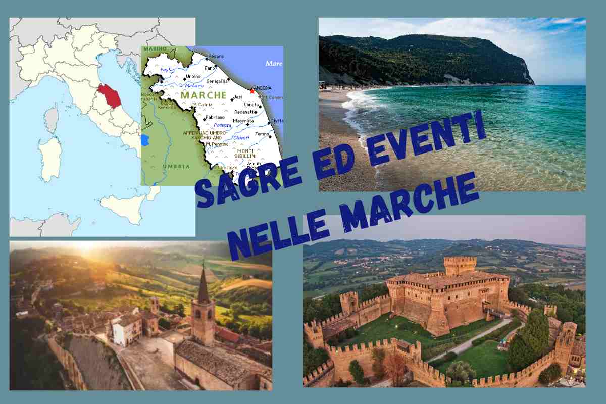 Sagre ed eventi nelle marche