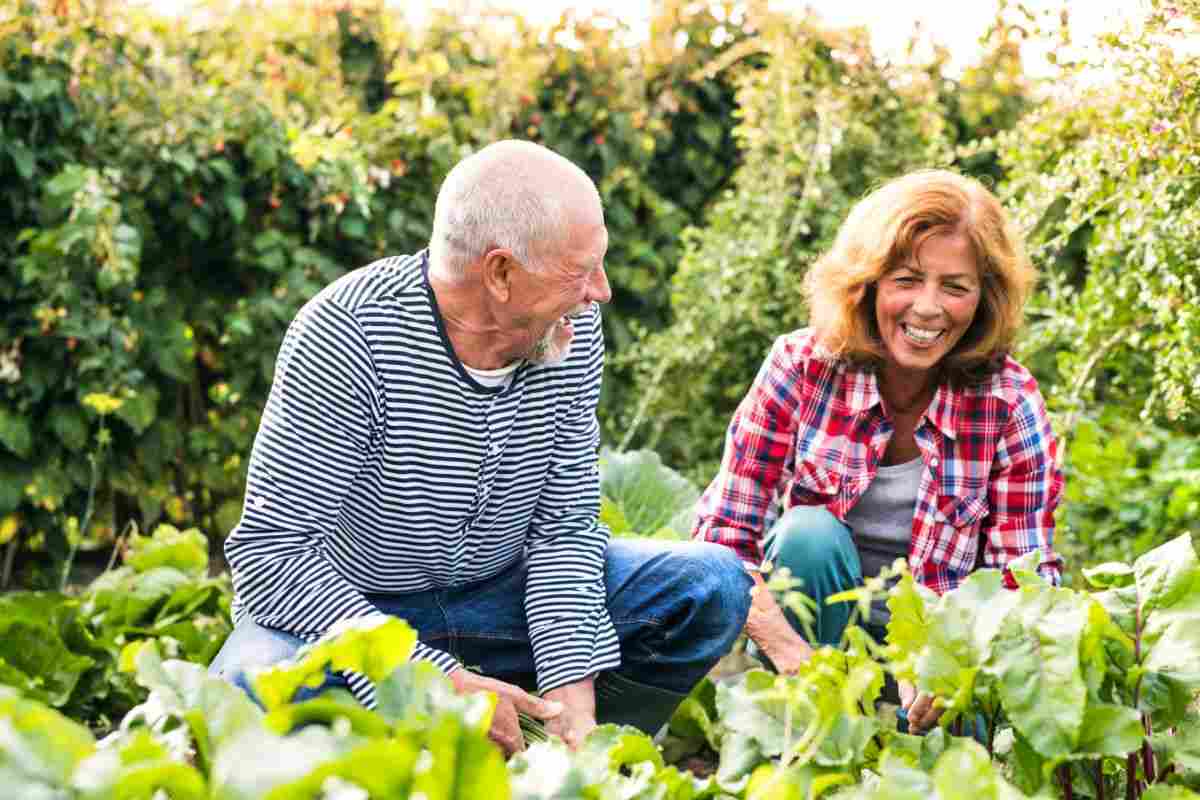 terapia giardinaggio benefici