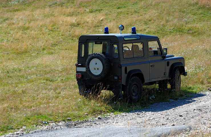 guardia forestale morso zecca