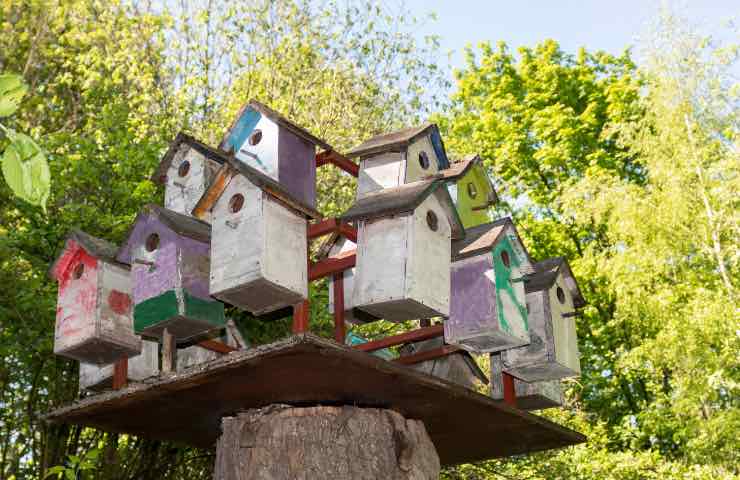 Casette in legno colorato per gli uccellini in giardino