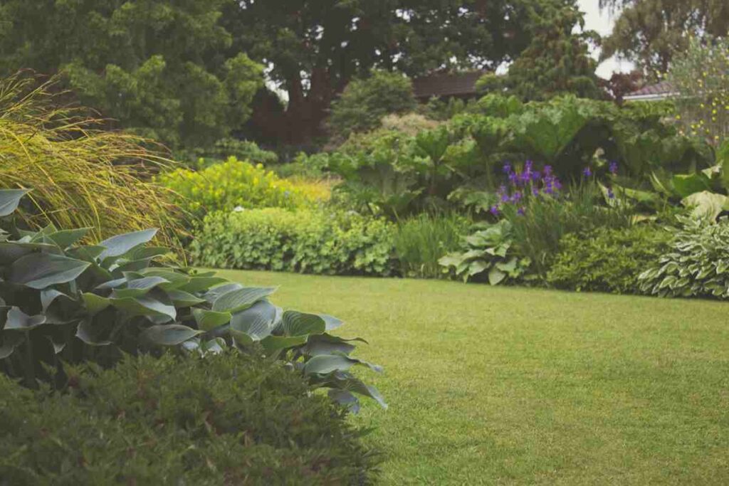 Giardino