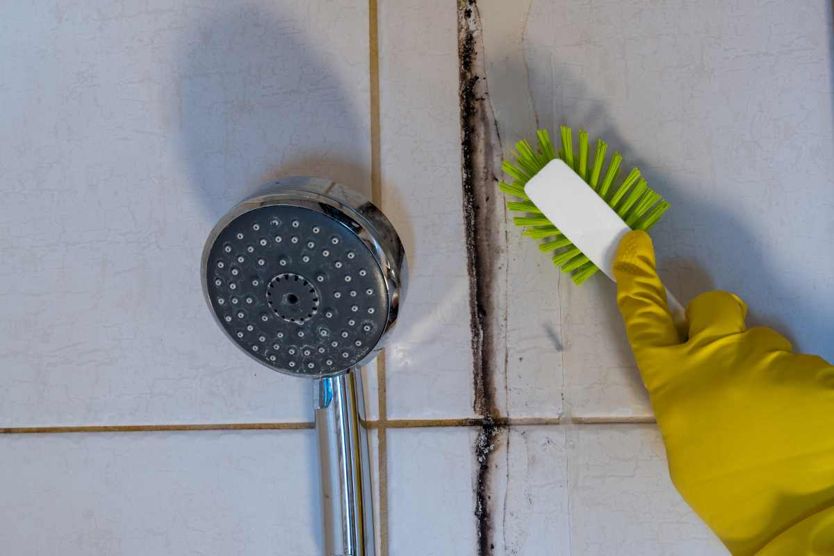 muffa sulla superficie del bagno